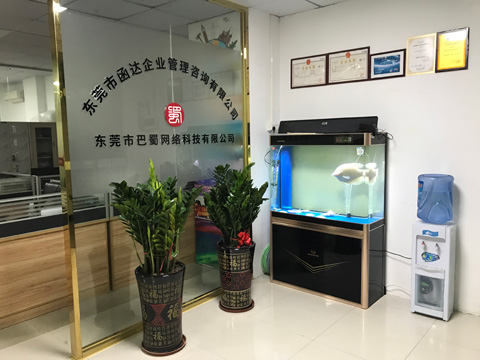 东莞网络公司 东莞网络公司